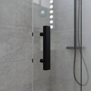 Porte de douche coulissante Black Mat NERINA 120 cm - 6mm