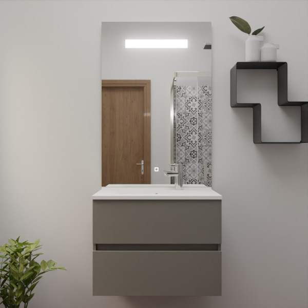 Meuble inox ROSINOX 70 cm avec plan vasque et miroir hauteur 105 cm - Gris clair Mat